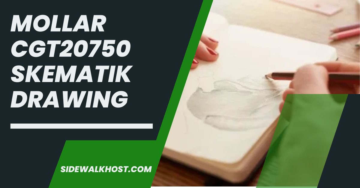 Mollar CGT20750 Skematik Drawing